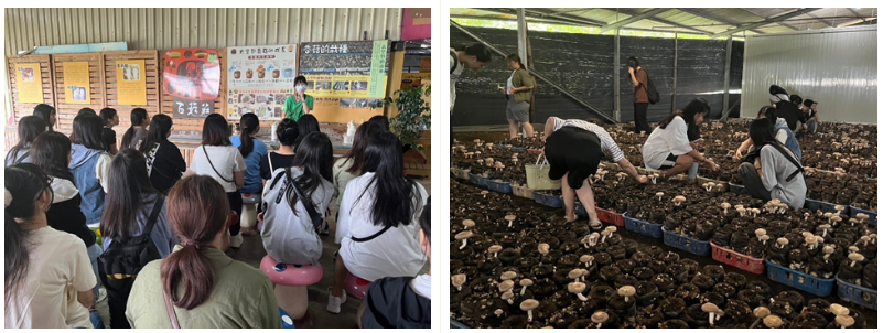 百菇莊校外參訪活動