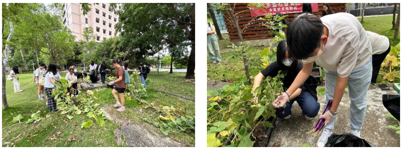 「南瓜從田間到餐桌的旅程」活動